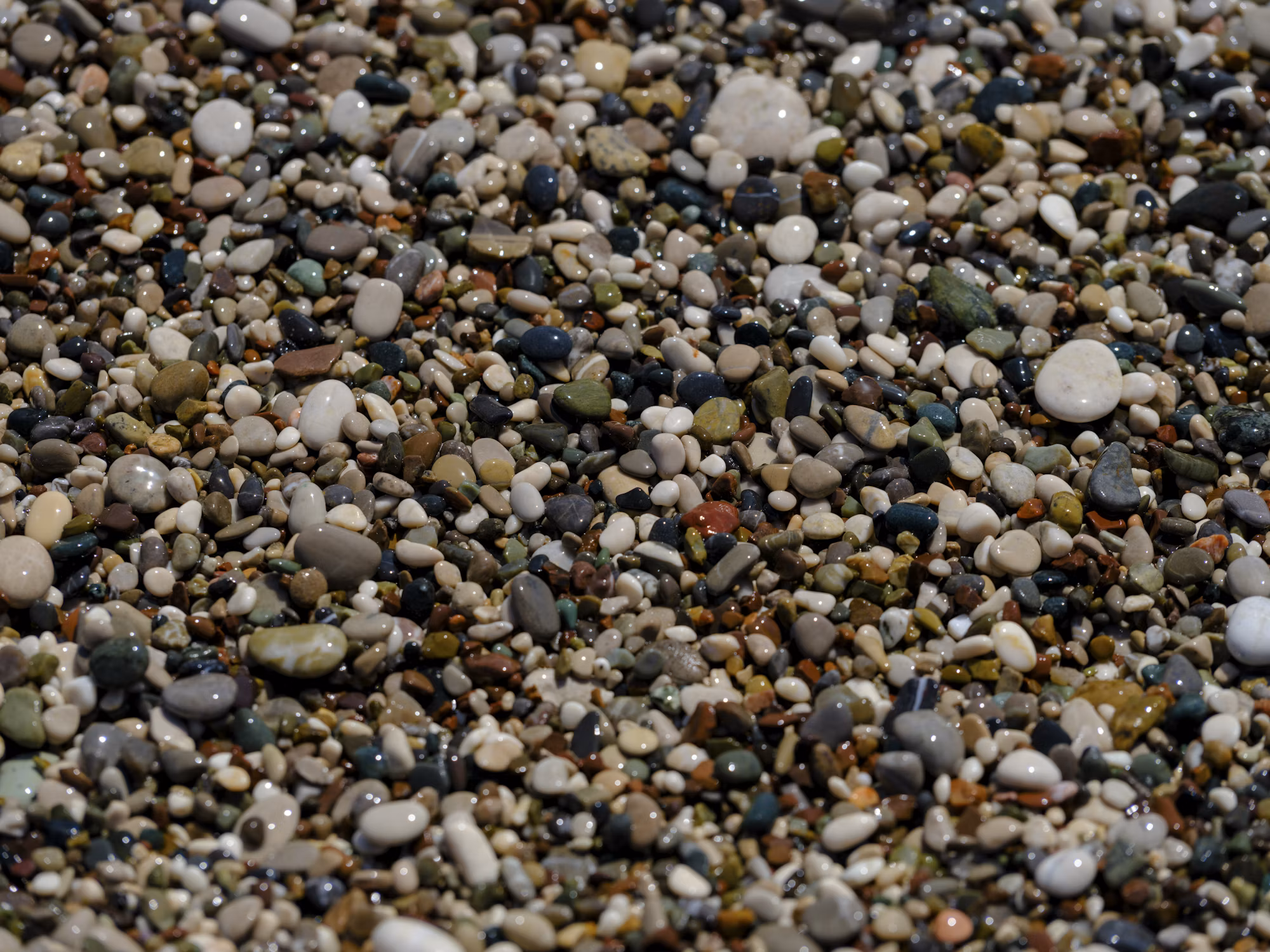 Exploring the Evolution of Renewable Energy Technologies